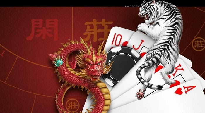 Các cách chơi rồng hổ chi tiết nhất